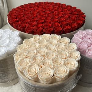 Lovebay Factory Wholesale Roses d'éternité naturelles Roses immortelles dans une boîte en velours Roses éternelles préservées dans une boîte - Product Image 6