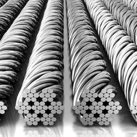 Câble en acier inoxydable non magnétique Aisi 304, corde métallique marron pour balustrade, 1mm 2mm 3mm, prix