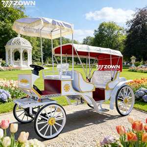 รถม้าไฟฟ้าสำหรับใช้งานเชิงพาณิชย์ โครงสร้างแข็งแรง ดีไซน์ย้อนยุค เหมาะสำหรับธุรกิจ - Product Image 1