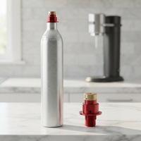 Cylindre de CO2 certifié CE et DOT, recharge de cylindre de CO2 pour eau gazeuse, cylindre de CO2 personnalisable de 0,6 l