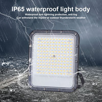 KCD Projecteur IP65 étanche pour paysage Qualité mince 10w 20w 30w 50w 100w 150w 200w 300w Projecteurs LED électriques pour l'extérieur