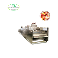 Machine de séchage à convoyeur à bande de Chine avec PLC et moteur 63,75 kW pour abricots, pruneaux, prunes, poivrons noirs