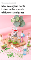 Jouets éducatifs DIY pour enfants, flacons de potion magique, fleurs séchées, kit de fée florale, fleurs DIY, décoration artisanale
