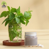 Comprimés de dentifrice à la menthe poivrée 62 pièces - Extrait végétal d'hydroxyapatite Écologique Sans fluor Soins bucco-dentaires pour les voyages