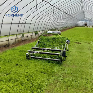 Haute efficacité de fonctionnement réduisant le nombre de travailleurs manuels et adapté à divers légumes à feuilles - Product Image 4