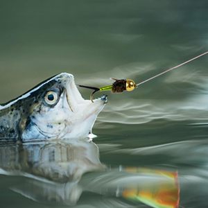 EUPHENG Cuentas Redondas de Tungsteno para Atado de Moscas, 25 Unidades, Cabeza para Materiales de Pesca de Ninfas, 12 Colores / 5 Tamaños - Product Image 5