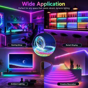 Digital Full Color <b>RGB</b> LED Strip SM16703 SMD5050 DC24V 60 LEDs/m 10 Pixels/m 10mm PCB 14.4W/m Segment <b>Control</b> for Signage - Product Image 5