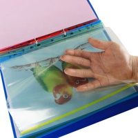 Protège-documents A4 transparents – Pochettes de classement transparentes pour feuilles intérieures