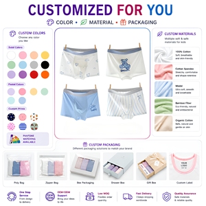Culottes décontractées pour bébé garçon en promotion – <span class=keywords><strong>Sous</strong></span>-vêtements pour enfants doux et respirants avec logo personnalisé - Product Image 1