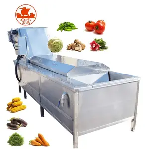 Industrial Automatic Mesh Belt Vegetable Steam Peanut Potato Chips French Fries Blanching Machine