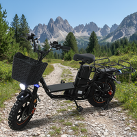 Vélo électrique populaire russe de 16 pouces avec moteur sans balais, frein à disque, batterie au lithium, pour adultes, livraison à domicile, antidérapant