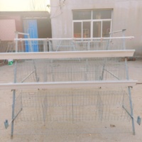 Cage à poules pondeuses de type A, conception personnalisée, galvanisée à chaud, cage en batterie à 3/4 niveaux pour ferme avicole, directement de l'usine