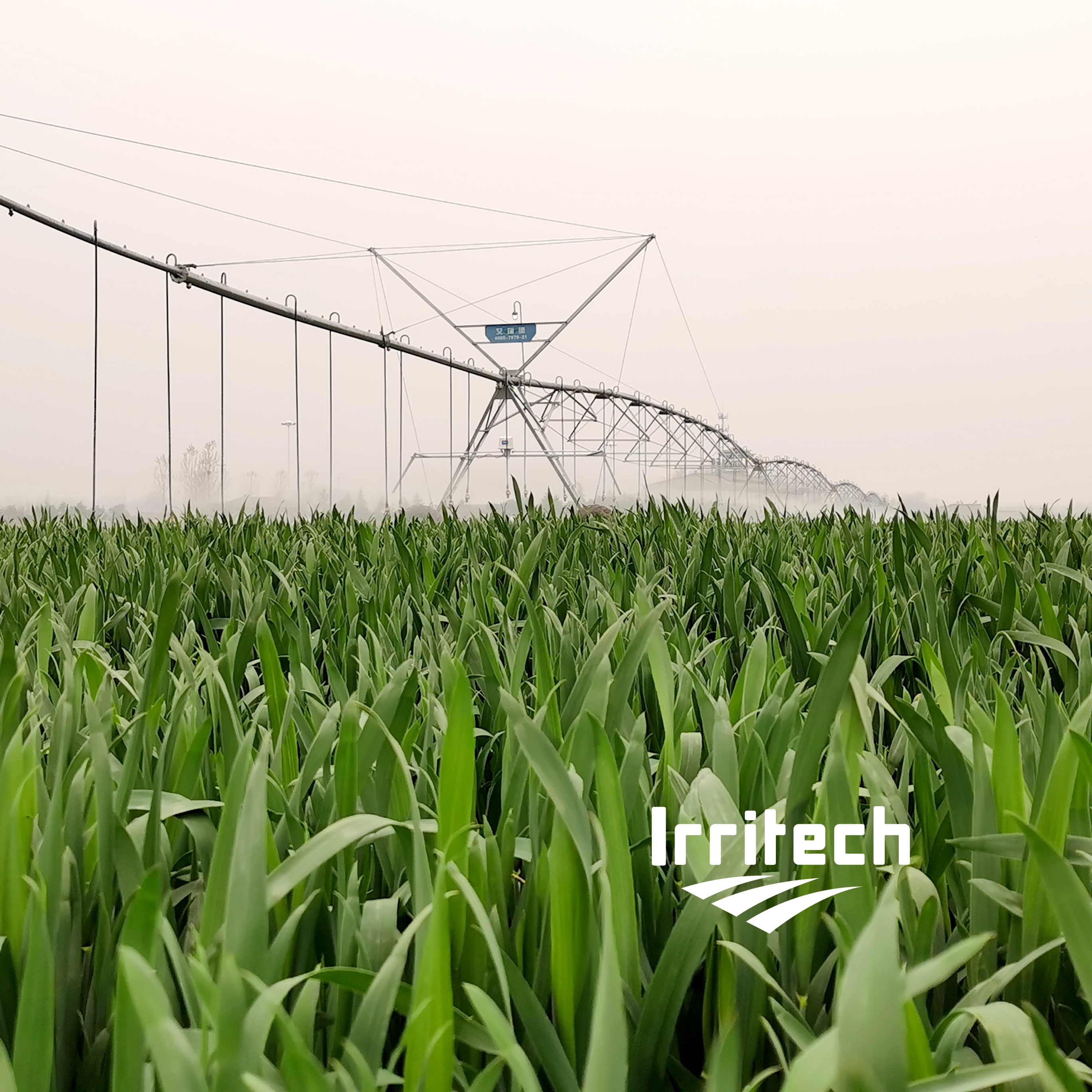 Shop Online New Zealand Pivot Irrigation Axial Irrigation Design |  Alibaba.com