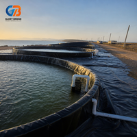 Géomembrane HDPE lisse, imperméable, écologique et durable pour bassins piscicoles, décharges, protection des pentes minières et construction
