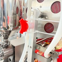 Machine d'emballage automatique verticale DFJ-130S pour sachets de 3 côtés scellés, pour liquides (huile, confiture, ketchup) et poudres (bâtonnets mélangeurs)