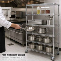 Chariot de rangement pour cuisine professionnelle, 6 niveaux, en acier inoxydable, étagère roulante robuste pour entrepôt, roues, capacité de 250 kg par étagère