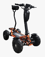 Mini scooter électrique tout-terrain à quatre roues, moteur sans balais 2400W, batterie lithium 1450Wh, télécommande, suspension intégrale, pliable