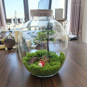 Vaso Contenitore Trasparente in Vetro <span class=keywords><strong>per</strong></span> Terrario con Coperchio in Sughero e Luce LED <span class=keywords><strong>per</strong></span> Piante Verdi e Acquario - Product Image 2