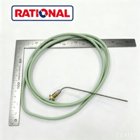 Four vapeur universel RATIONAL, thermocouple dédié B1 40.03.528P