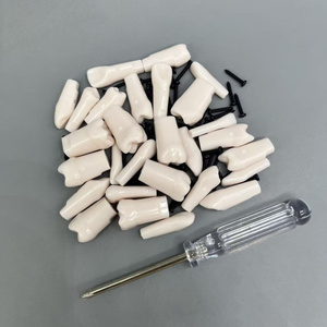 28 partículas dentales dispersas de resina en juego completo de resina blanca para productos de ciencia dental de hospitales y universidades médicas - Product Image 3