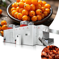Zeewierbes Mesh Belt Droogmachine Fruitdroogmachine Fruitdroogapparaat Zeewierbes Mesh Belt Droogapparatuur