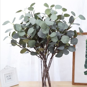 <span class=keywords><strong>Artificial</strong></span> de <span class=keywords><strong>eucalipto</strong></span> dólar de plata ramas Apple árbol hojas para decoración de la boda - Product Image 2