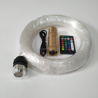 Kit de fibre optique pour mini projecteur DIY populaire pour la décoration de plafond étoilé de voiture