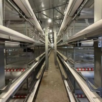 Offre Spéciale : Poulailler Automatique Type H à 4 Niveaux, Équipement d'Élevage Galvanisé pour 20 000 Poulets – Projet Agricole Afrique