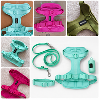 Harnais pour chien en PVC personnalisé, réglable, imperméable, jouet balle de tennis pour chien, laisse, gamelle, support pour sacs à déjections, ensemble de voyage extérieur pour animaux de compagnie, cadeau
