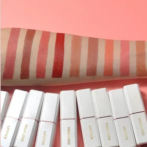 Best Selling Cosmetic High Pigment Long Lip Stick Logotipo personalizado White Tube Maquiagem Velvet Lipstick Private Label