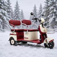 Vélo Électrique Urbain MAX 60V 1000W avec Moteur Brushless, Cadre en Acier Carbone, Frein à Disque, Roues 14'', Batterie Plomb-Acide, Vitesse Unique pour Adultes