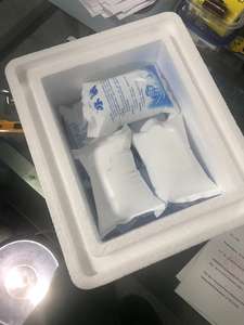 Reagentes químicos Clungene Anticorpo monoclonal do rato anti-Raiva para a pesquisa - Product Image 5