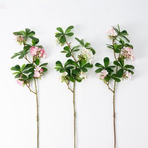 Fleurs artificielles de Pittosporum de haute qualité, arrangements floraux réalistes, fleurs en soie décoratives fraîches pour centre commercial - Product Image 5