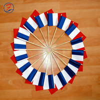 Drapeaux de poche du Brésil 100% polyester imprimés avec logo personnalisé, forme rectangulaire, mât en bois pour agences de voyage