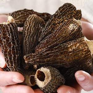 Toadstool Are Large in Size and <strong>Have</strong> Thick Flesh. They Can Be Used to Make Soup or Can Be Processed and <strong>Eaten</strong> Again. - Product Image 1