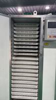 Machine de séchage industrielle pour légumes à vendre, équipement de séchage durable pour noix, machines de transformation alimentaire
