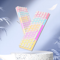 Clavier mécanique filaire Ancreu, touches en pudding, mini clavier filaire 61 touches ABS pour PC portable, clavier USB RGB 50 touches, piano 21 touches