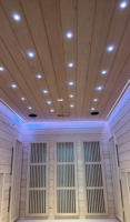 Sauna infrarouge extérieur pour la maison, cabine de sauna sec, hammam, douche vapeur, sauna infrarouge Balnéo, bain de vapeur fermé