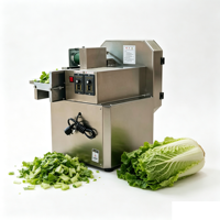 Coupe-légumes multifonctionnel en acier inoxydable pour cuisine commerciale, restaurant, préparation alimentaire