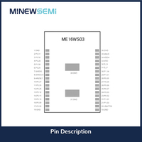 Modul MinewSemi ME16WS03 BLE 5.3 WiFi 6 Chipset NRF7002+NRF5340 Dual-Core IoT 512KB+64KB RAM 1MB+256KB Flash U.FL