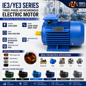 มอเตอร์ YE3 ซีรีส์ 2937 รอบต่อนาที 380V/660V IE3 AC แบบเหนี่ยวนำ 22 กิโลวัตต์ 30 แรงม้า สามเฟส IP54/IP55 ได้รับการรับรองมาตรฐาน CE 50/60Hz คลาส F - Product Image 5