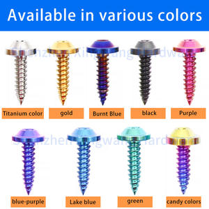 ねじファスナー,低価格卸売チタン合金セルフタッピングネジGR5チタンねじ注文 - Product Image 2