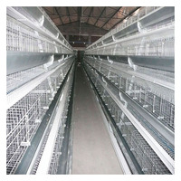 Conception moderne de poulailler, cages à poulets automatiques galvanisées à batterie à vendre en Russie, aux Philippines, en Thaïlande et au Pérou
