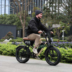 Vélo électrique tout-terrain ONESPORT Bafang à double <span class=keywords><strong>moteur</strong></span> 500W, batterie 48V 13.5Ah, pneus de 20 pouces, freins à disque hydrauliques, vélo de neige, Ebike - Product Image 2