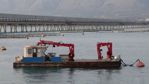 Grue marine durable à faible entretien Watsond pour les plateformes d'éoliennes offshore - Product Image 5