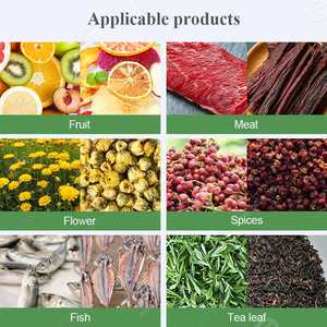 Fideos Gas Fish Dry Industrial Bandeja eléctrica Hoja de té Galleta Pan Panadería Horno Máquina para hornear para pescado - Product Image 6