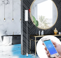 Détecteur de fuite d'eau sans fil avec télécommande via l'application TUYA Smart Life, capteur d'inondation pour maison intelligente, capteur de fuite d'eau WiFi