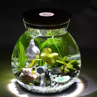 Terrarium en verre micro-paysage avec lumière, récipient en verre borosilicate fait main, pot en verre rond transparent avec couvercle en liège