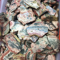 Morceaux de pierres précieuses naturelles de Rhodochrosite, disques durs, chevelures irrégulières, en vrac