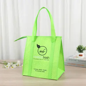 Custom Logo Promotional Reusable Thermal Insulation Bag Wholesale Small 6 Can Non Woven Insulated Lunch Cooler Bag For Food